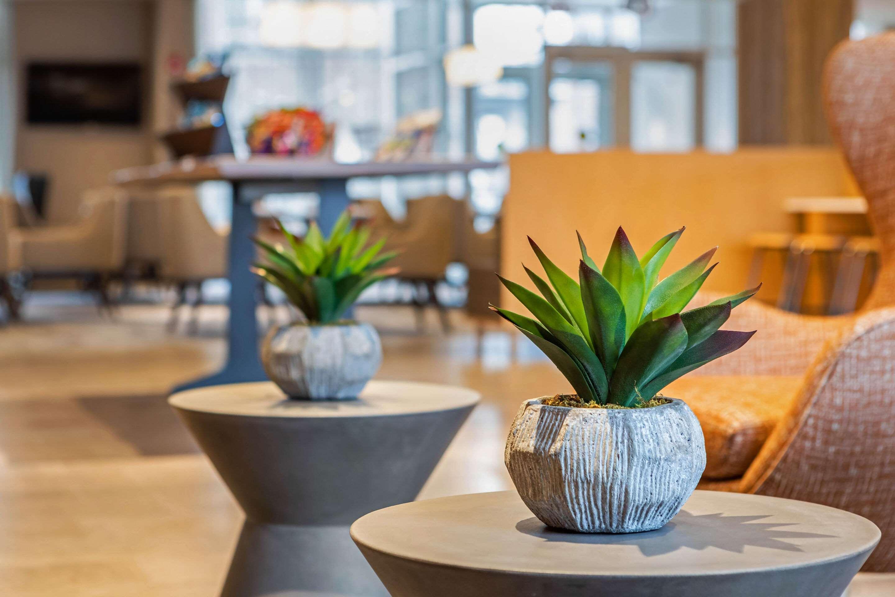 Cambria Hotel Orlando Airport Kültér fotó